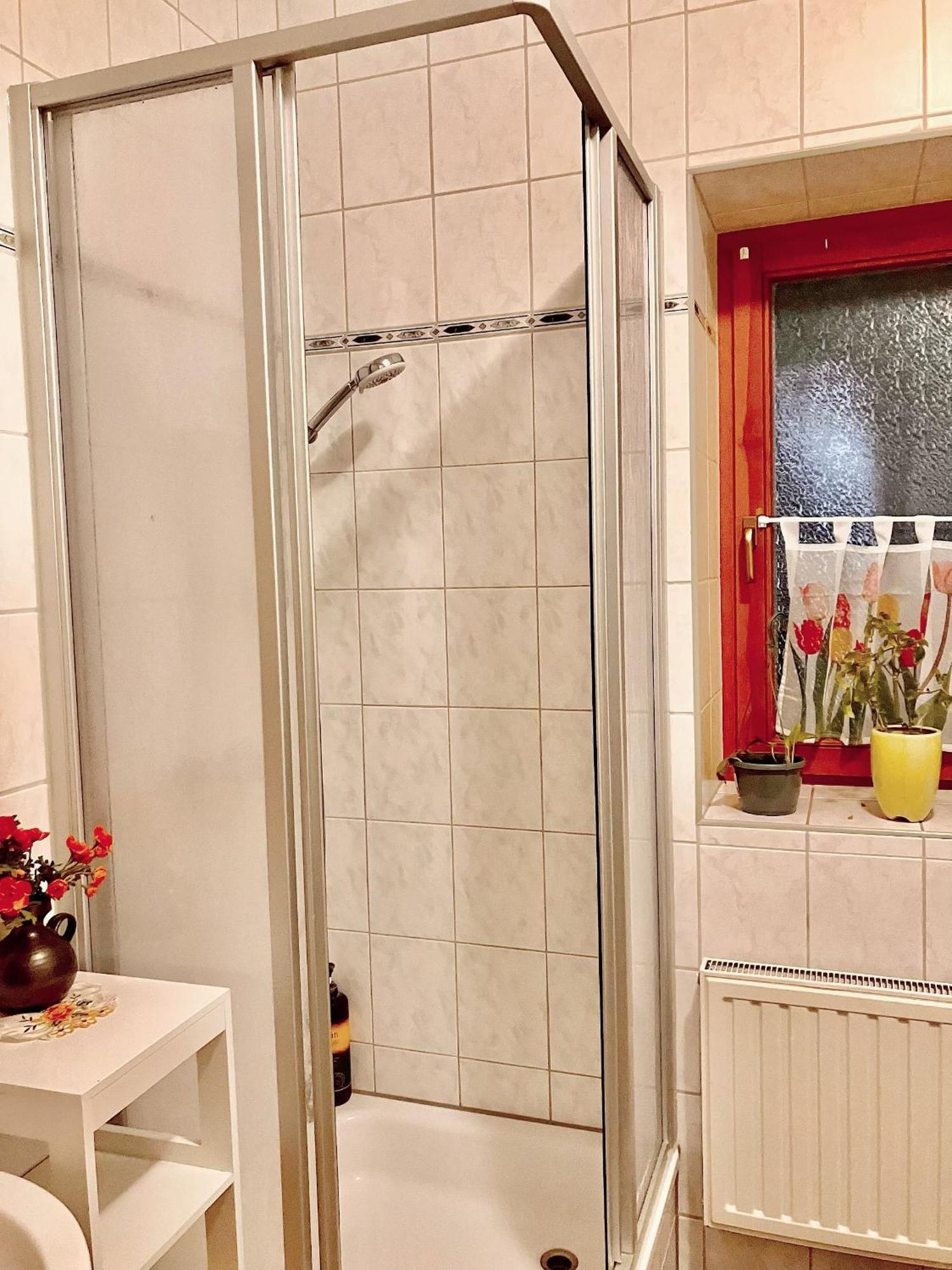 Ferienzimmer Healing Und Montuerwohnung Weißenfels Eksteriør bilde