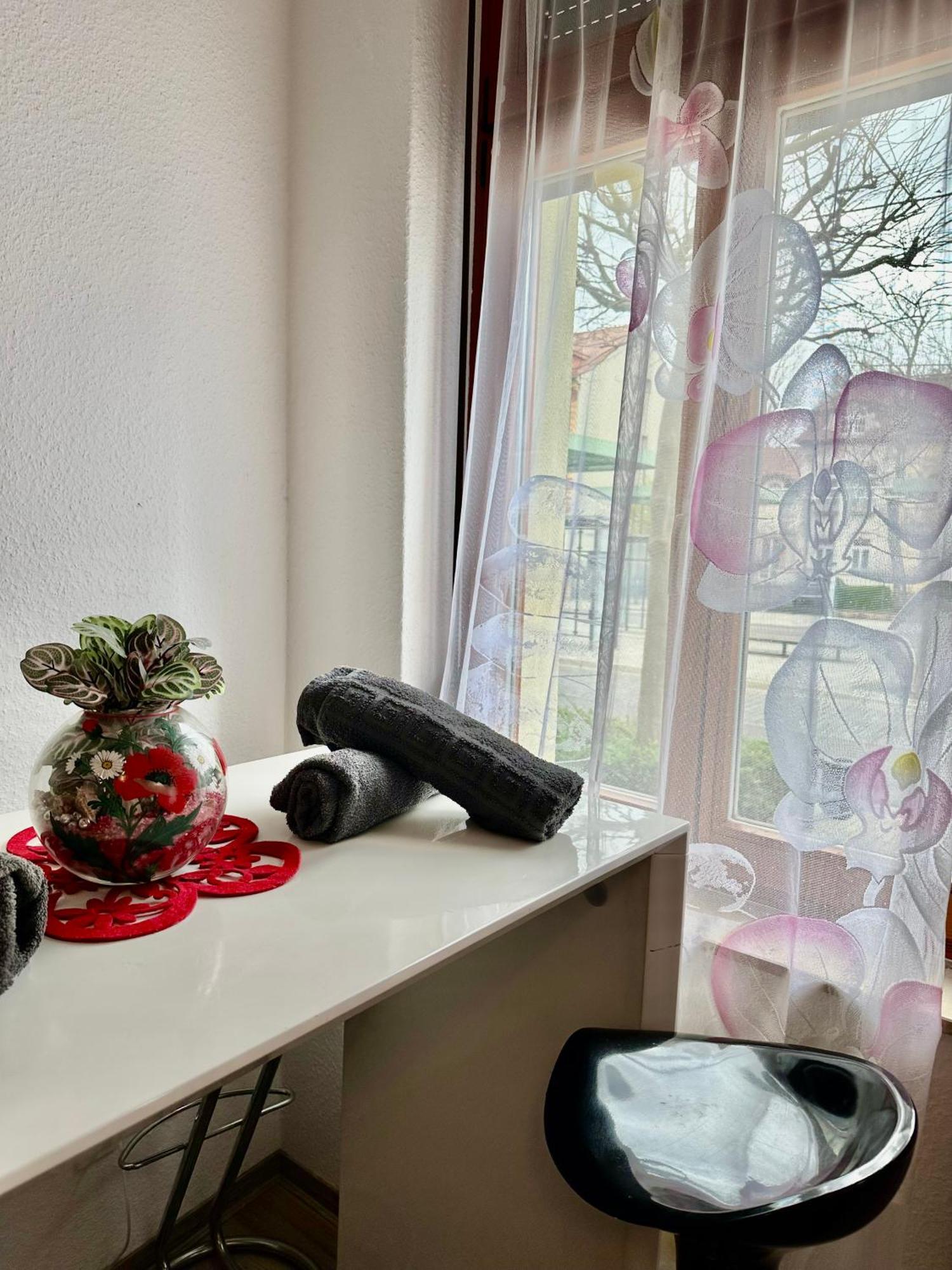 Ferienzimmer Healing Und Montuerwohnung Weißenfels Eksteriør bilde