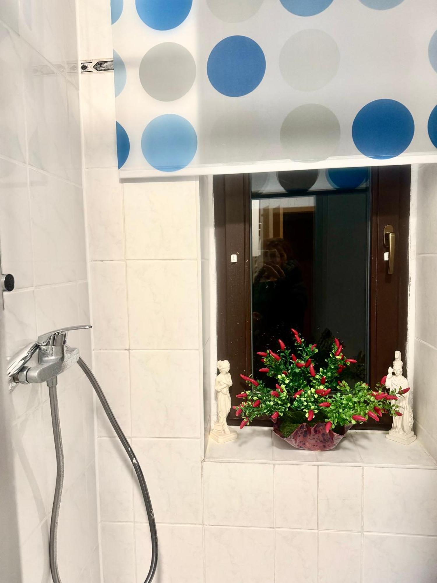 Ferienzimmer Healing Und Montuerwohnung Weißenfels Eksteriør bilde