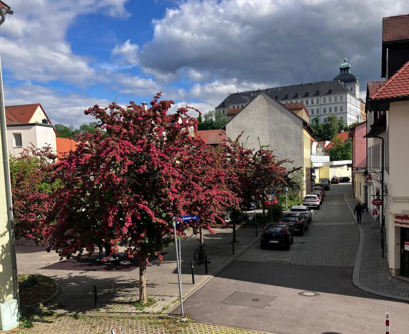 Ferienzimmer Healing Und Montuerwohnung Weißenfels Eksteriør bilde